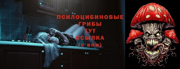 Альфа ПВП Нягань