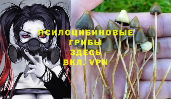 герыч Нязепетровск