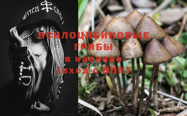 mdma Няндома