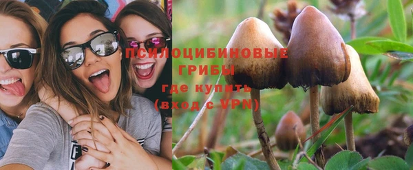 дурь Шадринск