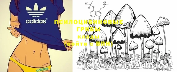 mdma Няндома